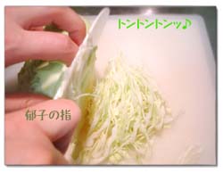 cabbage0603.jpg